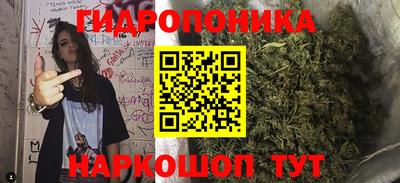 крисы Кимры