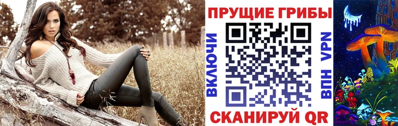 ссылка на мегу сайт наркошоп Приморско-Ахтарск Галлюциногенные грибы мицелий