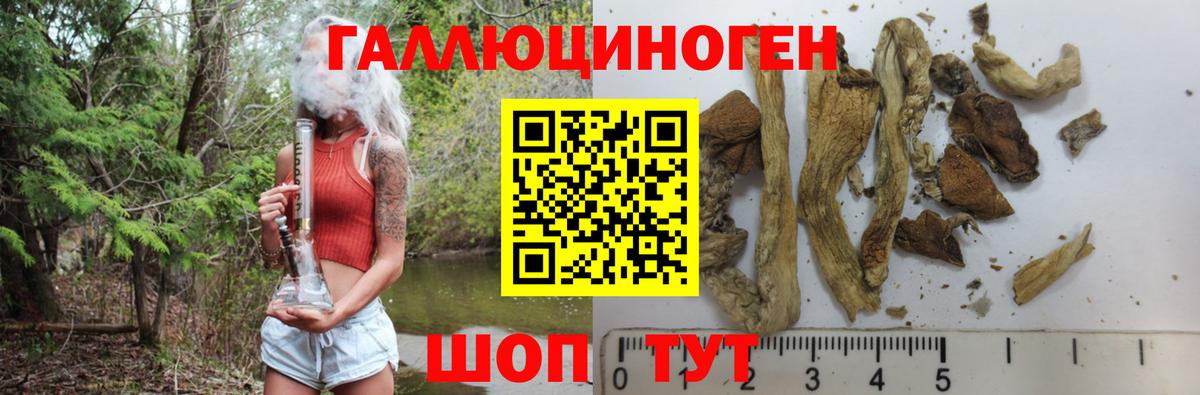 Галлюциногенные грибы мицелий Приморско-Ахтарск