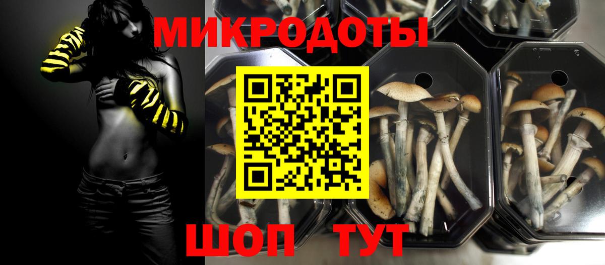 Приморско-Ахтарск  Галлюциногенные грибы Magic Shrooms  Вход с VPN  Галлюциногенные грибы Psilocybe 